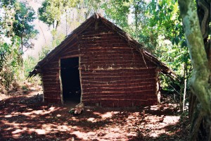 Guaranì