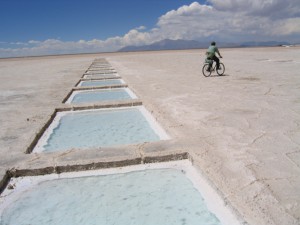 Salta