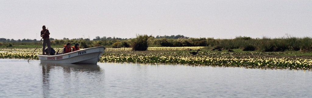 Esteros del Iberà