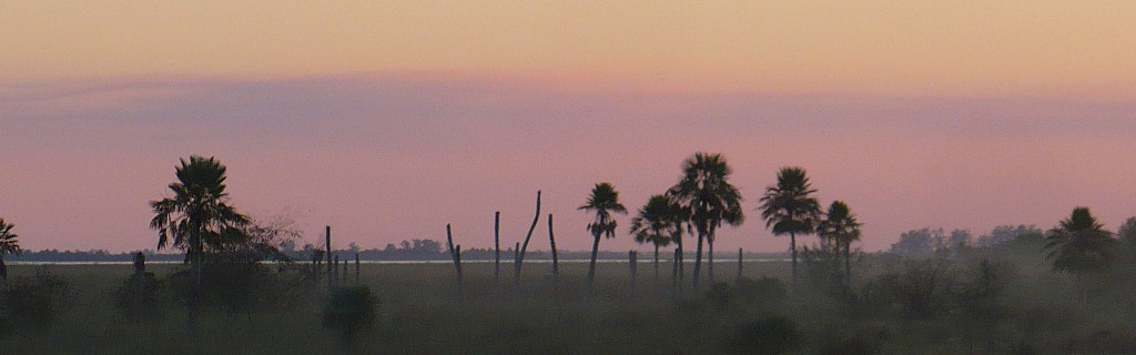 Chavarria