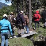 Camminata in araucania