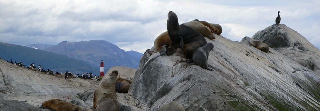 Canal Beagle
