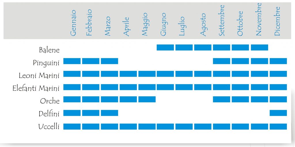 Calendario Faunistico