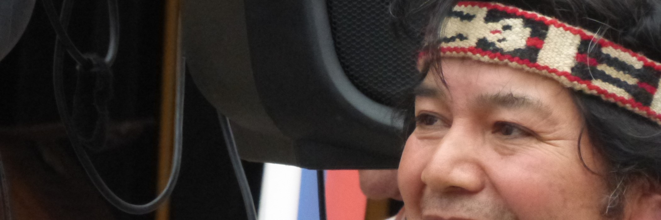 Mapuche