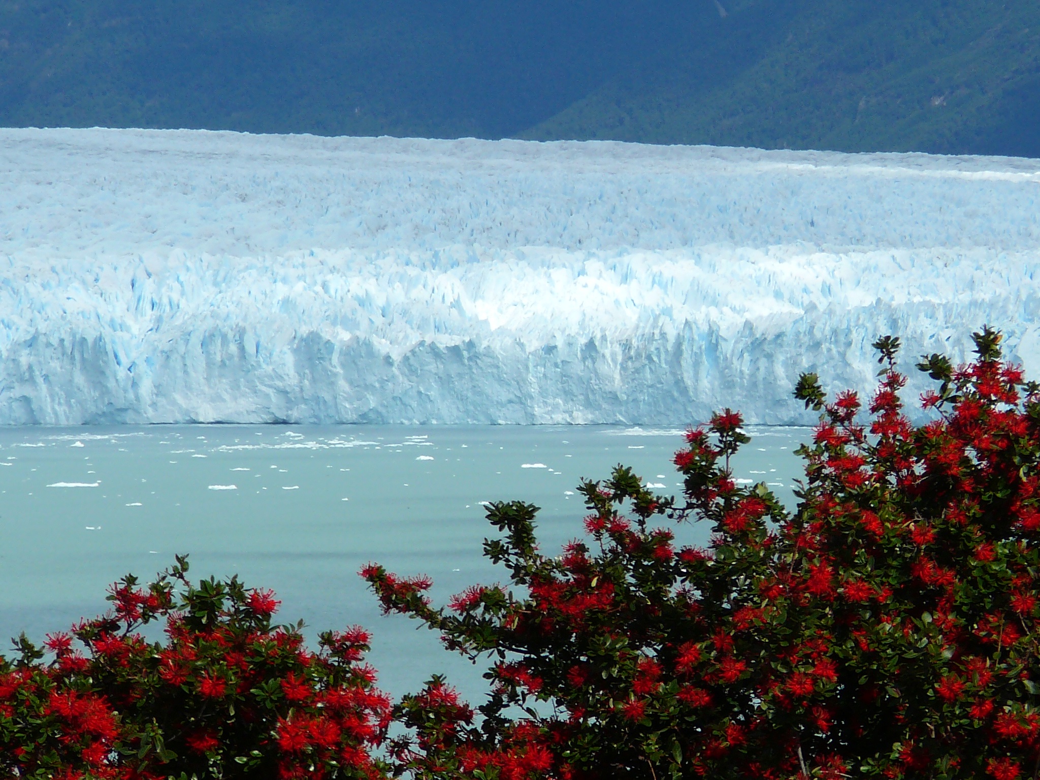 Glaciar Perito Moreno