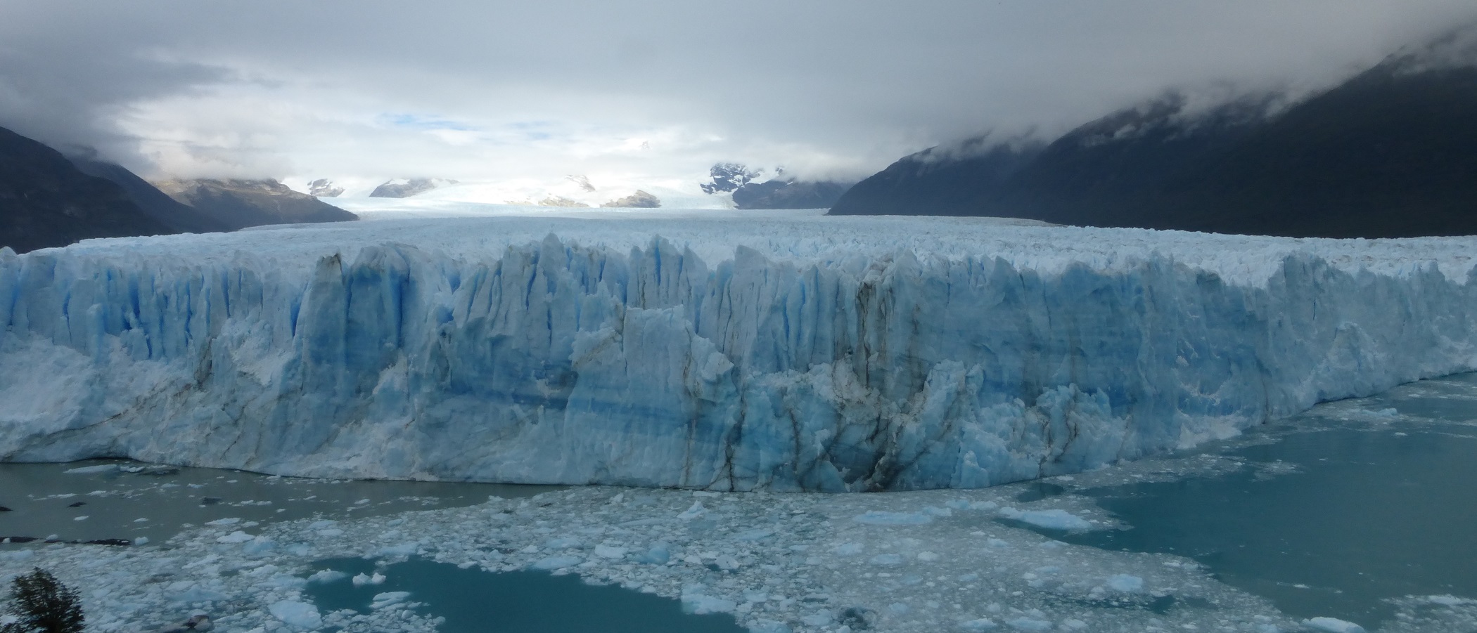 Calafate Perito Moreno