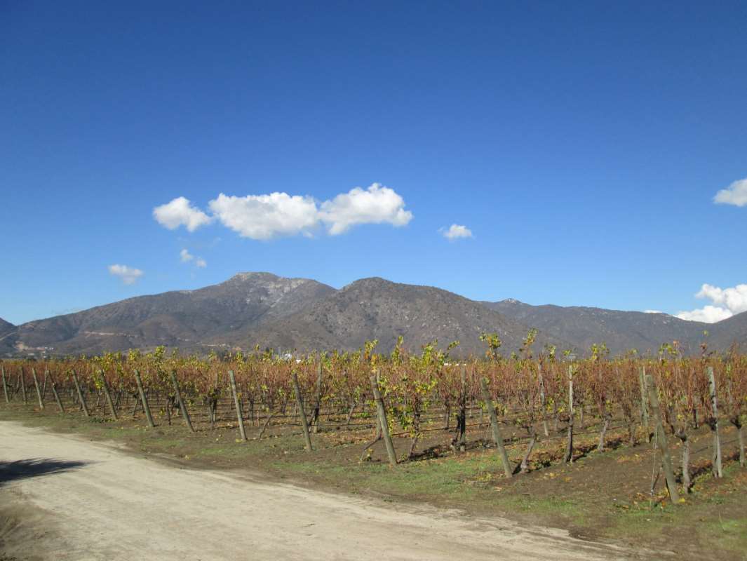 Casablanca Valley