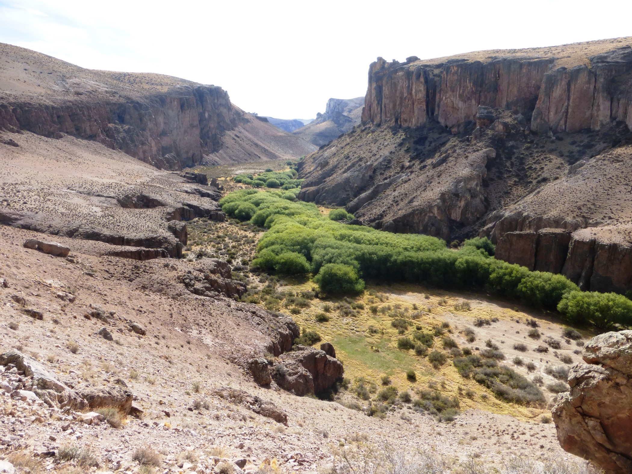 cuevamanos01