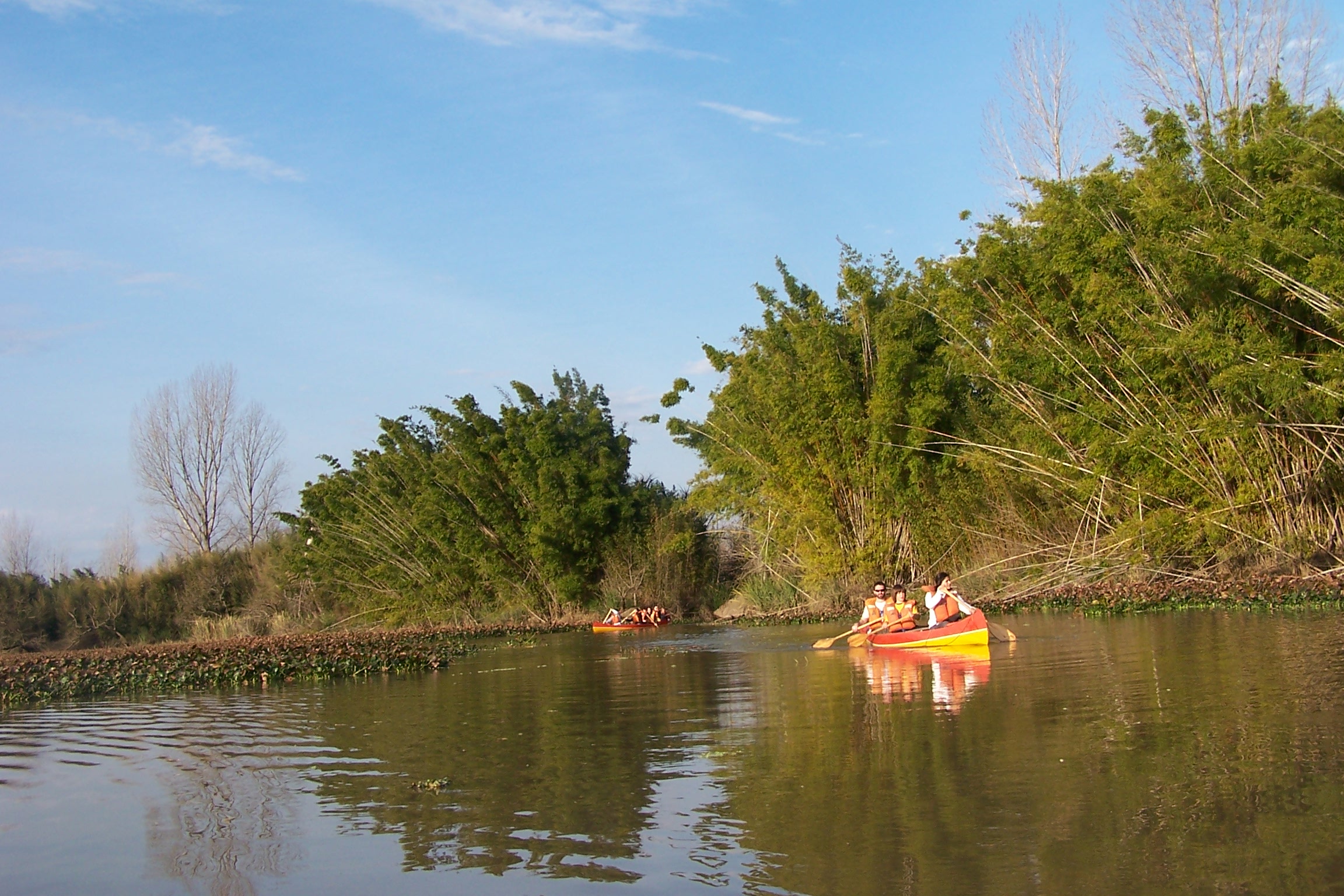 Bonanza Deltaventura