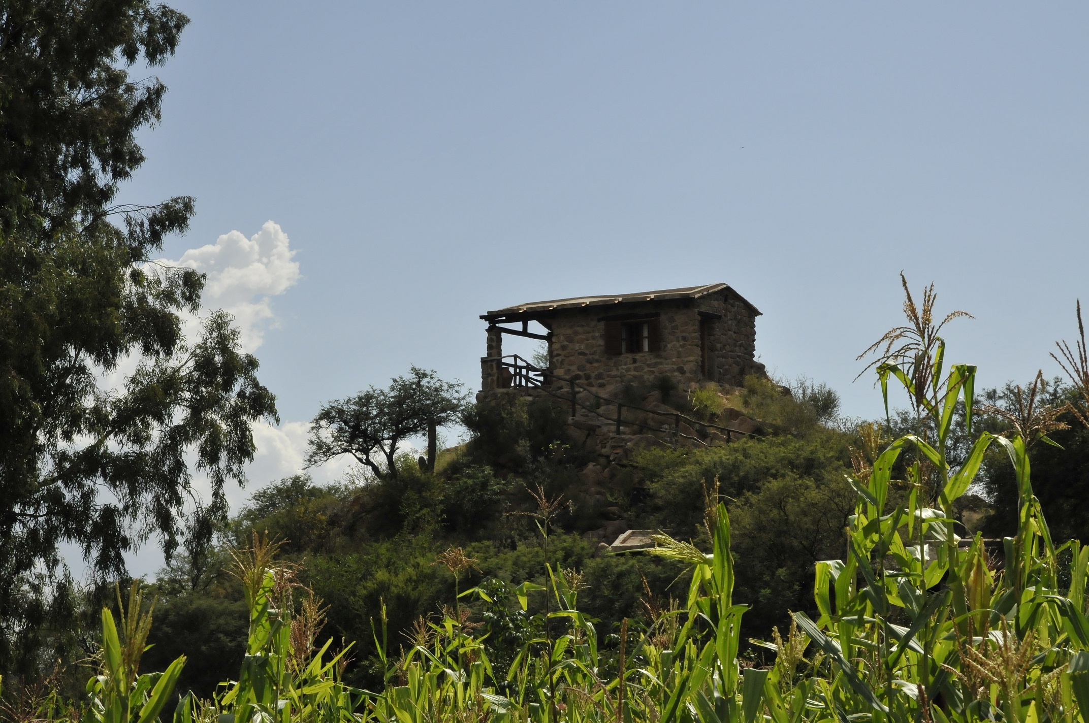 Red turismo campesino